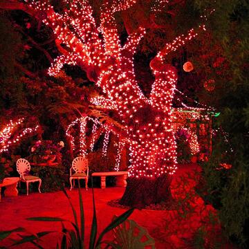 500 Luci Led Rossi di Natale - mt 25+5 cavo - per Interno... - Marino Fa Mercato