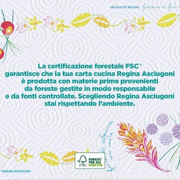Regina Asciugoni Maxi Rotoli x2 - Carta Assorbente... - Marino Fa Mercato