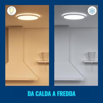 WiZ Plafoniera Superslim Smart 25 cm, WiFi, Luce Bianca... - Marino Fa Mercato
