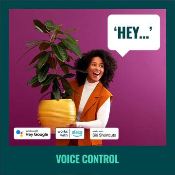 WiZ Faretto Nero 2 Luci Smart, Wifi, Controllo Vocale,... - Marino Fa Mercato