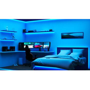 WiZ Striscia Luminosa Led Smart 10m, WiFi, Controllo... - Marino Fa Mercato