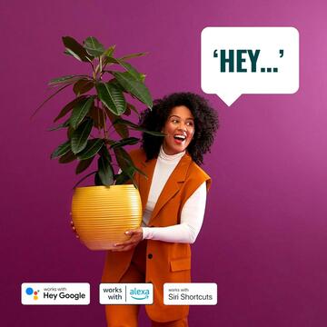 WiZ Lampada da Tavolo Portatile Squire Smart, WiFi,... - Marino Fa Mercato