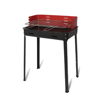 Barbecue  Flavia a carbonella 45 X 35