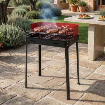 Barbecue  Flavia a carbonella 45 X 35