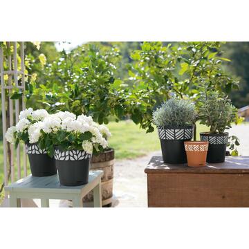 Coprivaso Orfeo 15 grafite - Marino Fa Mercato