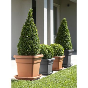 Maxi sottofioriera 38 X 38 cotto