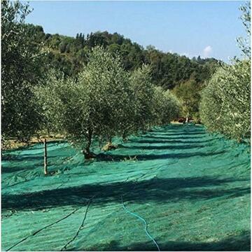 Rotolo Rete Raccolta Olive Antispina in Telo 4x50 mt... - Marino Fa Mercato