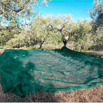Telo Rete Raccolta Olive Antispina 8x8 mt - Angoli... - Marino Fa Mercato