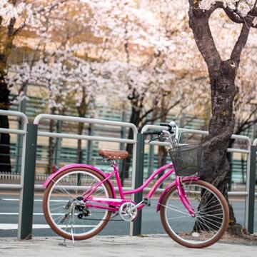 Cestino Anteriore per Bici in Metallo h 24 cm - Nero