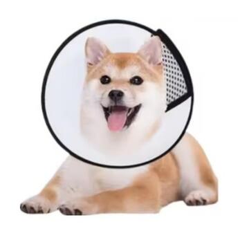 Cono Collare Elisabettiano in Plastica 62x31 cm per Animali Domestici