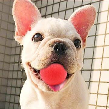 Palla 6 cm per Cane e Animali Domestici - Gioco Interattivo... - Marino Fa Mercato